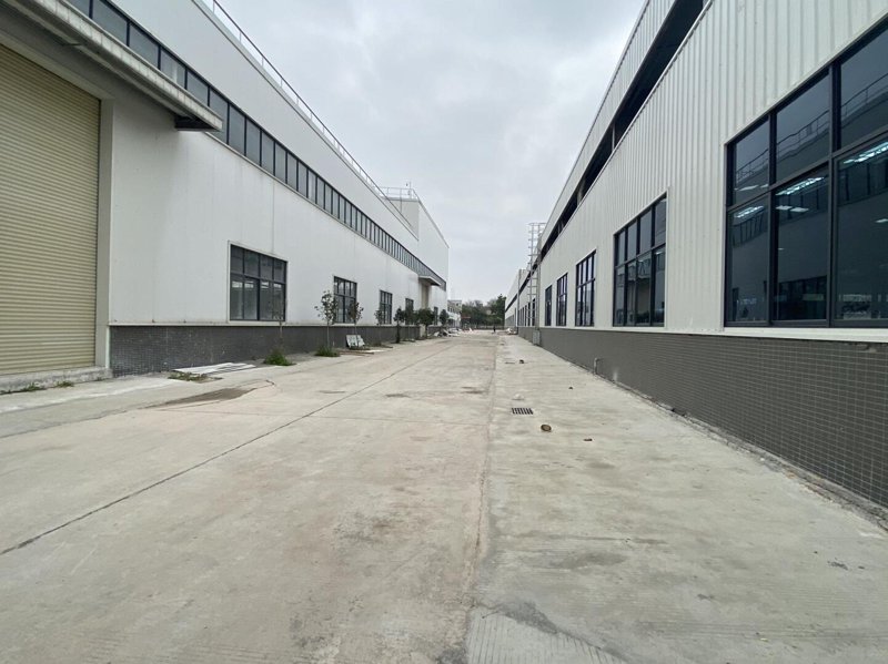 厂房出租市场动态解析:工业发展的新引擎
